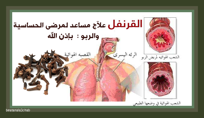 وصفة لعلاج حساسية الصدر