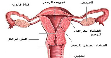 امراض الرحم عند البنات