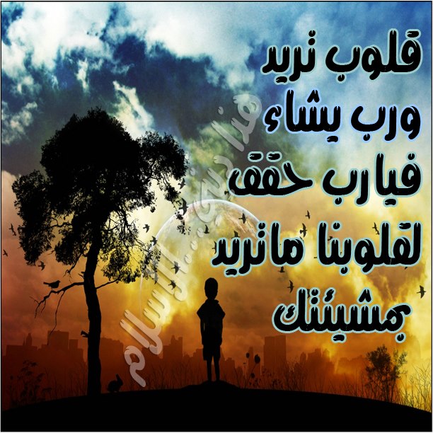 صور احلى اسلاميات