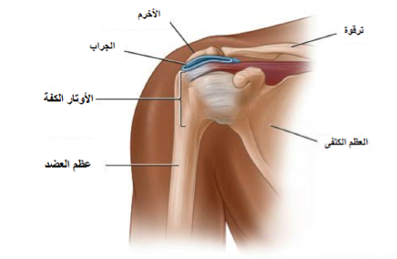 علاج تمزق العضلات الكتف