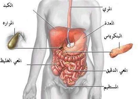 دم مع البراز