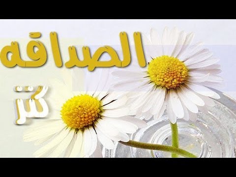 كلمات اناشيد عن الصداقة