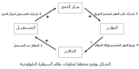 مهارة التغذية الراجعة