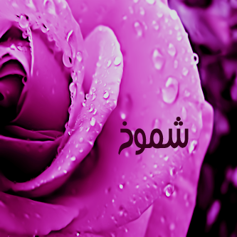 شعر عن الشموخ