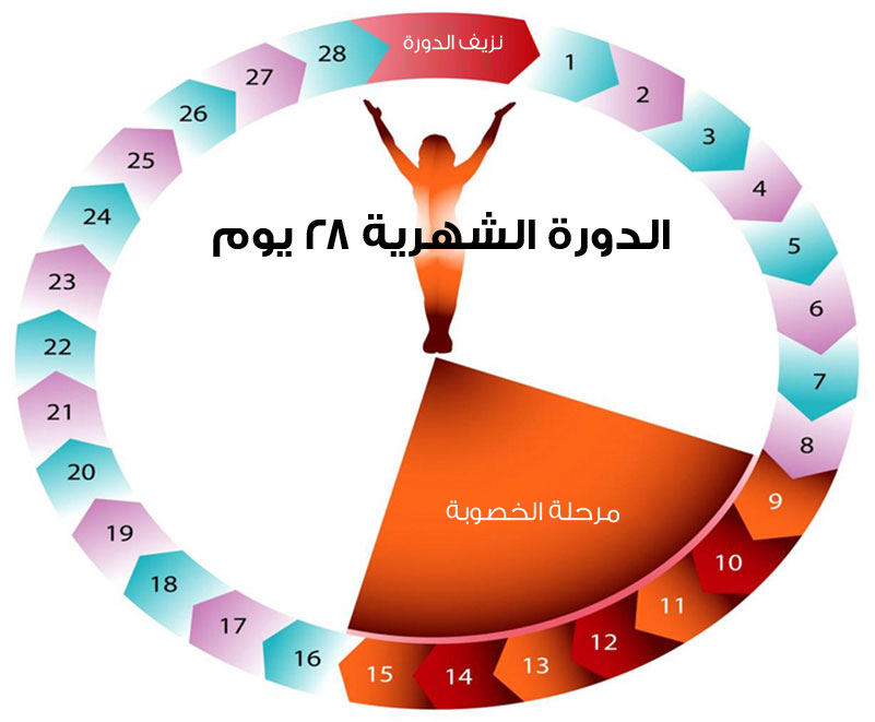 الام مثل الدورة في الشهر الثاني