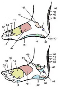 رعشة الرجل اليسرى الاسباب والعلاج