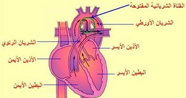 علاج ضعف عضلات القلب