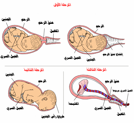 اوجاع الحمل في الشهر الخامس