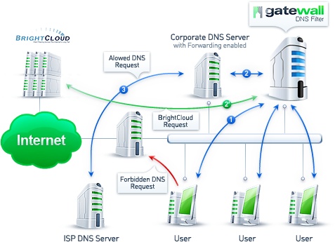 dns تى داتا