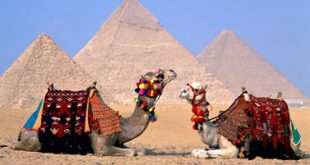 موضوع مصر فى عن تعبير السياحة 13789 310x165