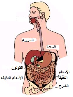 لماذا يطفو البراز فوق الماء