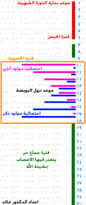 فترة حدوث الحمل