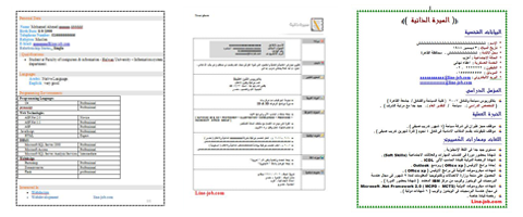 سى فى عربى