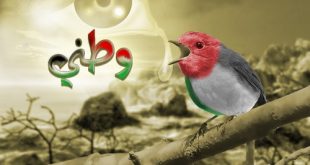 صورة الفلسطيني العلم 20160911 818 1 310x165