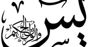 العربية الخطوط اجمل 20160912 926 1 310x165