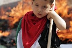 فلسطين غضب طفل صورة صور اطفال 20160913 1317 1 250x165