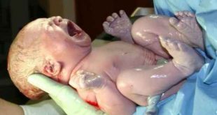 موعد كيف بالهجري الولادة احسب 20160913 1514 1 310x165