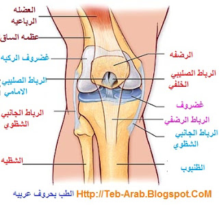 الم في الركبة مع طقطقة