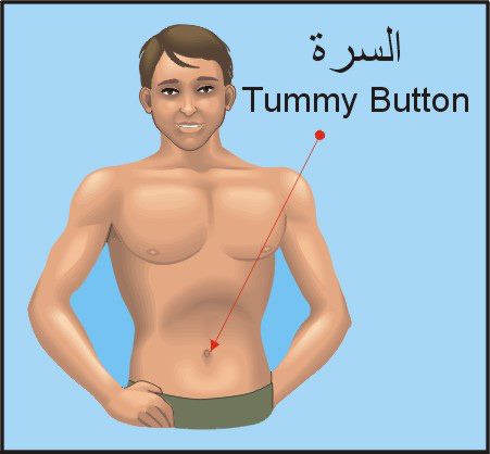 ماعلاقة المعدة بالضهر