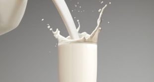 واضراره فوائد الحليب 20160914 3046 1 310x165