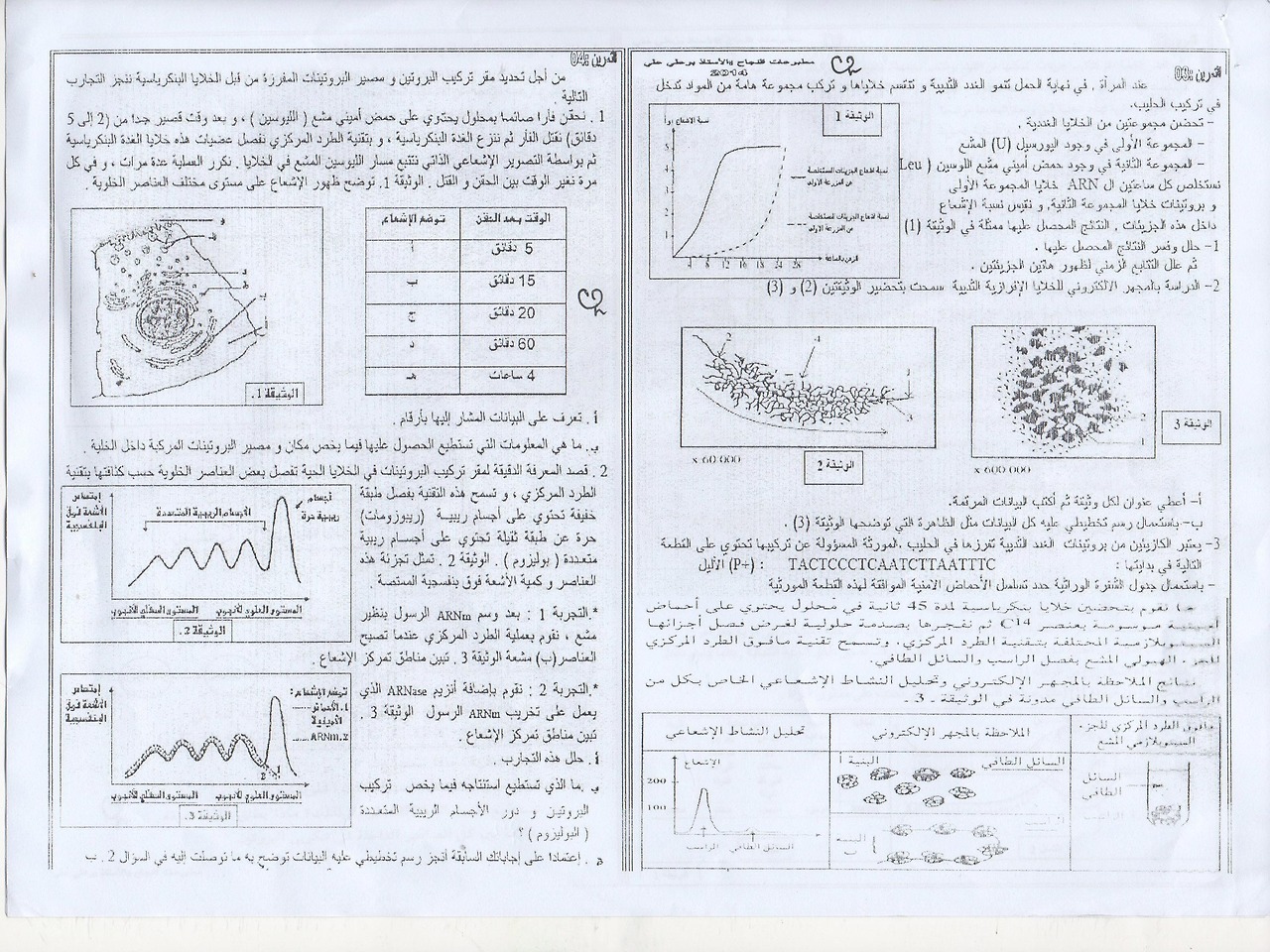 حل تمرين 2 من بي ام 2024 