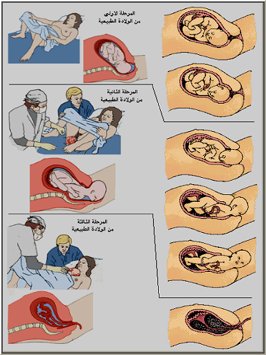 سائل تساعد على توسيع الرحم