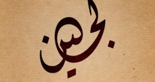 معنى لجين في اللغة العربية اسم 20160915 752 1 310x165