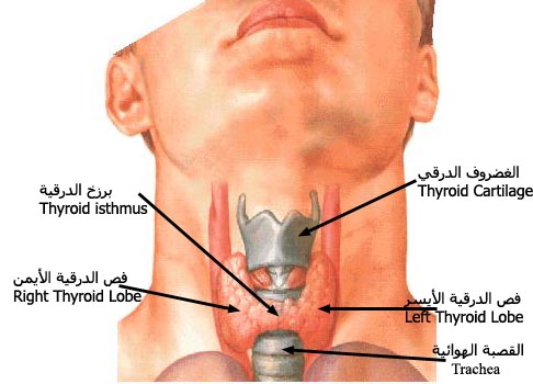 اجريت عملية استئصال الغده