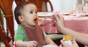 كيف على طفلى تناول الطعام الصلب اساعد 20160917 1742 1 310x165