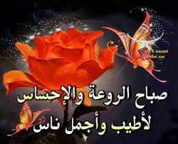 شعر الصباح للحبيب