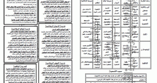 ملخصات للمرحلة لغة عربية الثانوية 20160919 137 1 310x165