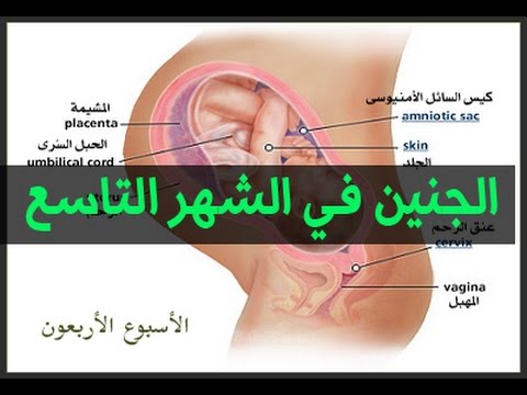 اعراض الحمل الشهر التاسع