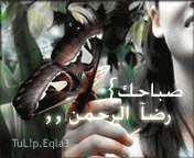 ربي بالي ارح unnamed file 92 1